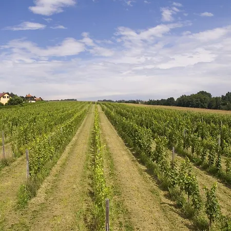 Fruehstueckspension Kleinschuster