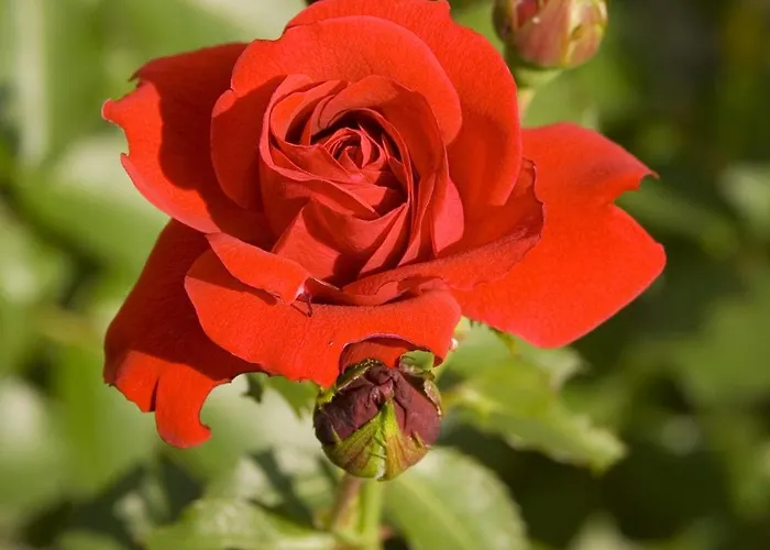 Гостевой дом Fruehstueckspension Kleinschuster 3*