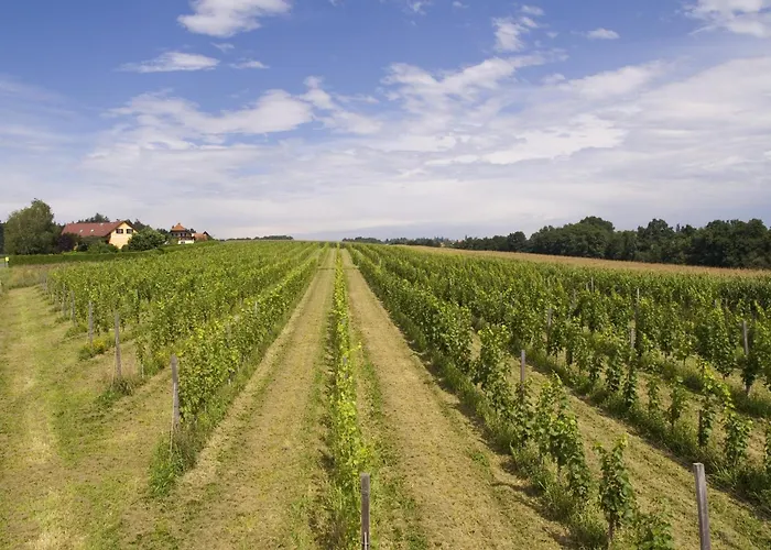 Fruehstueckspension Kleinschuster